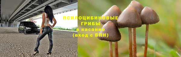 стафф Балахна
