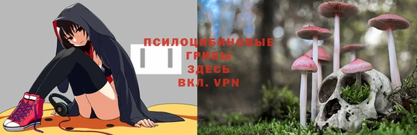 стафф Балахна