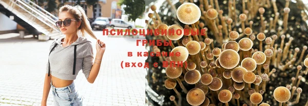 спайс Верея