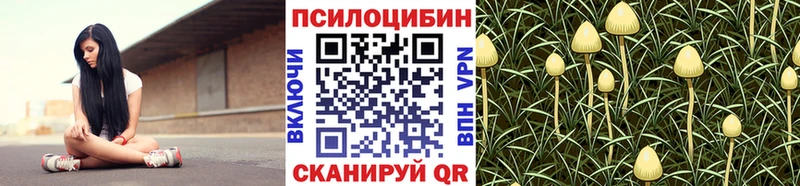 Галлюциногенные грибы MAGIC MUSHROOMS  площадка официальный сайт  Корсаков  как найти   МЕГА маркетплейс 